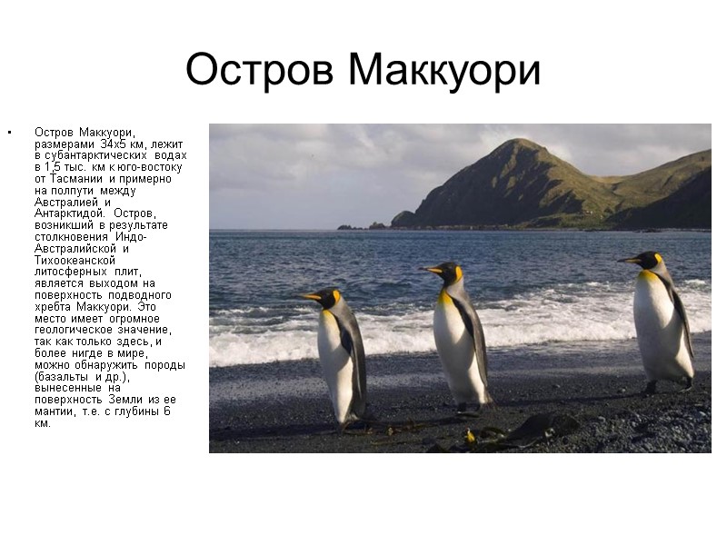 Остров Маккуори  Остров Маккуори, размерами 34х5 км, лежит в субантарктических водах в 1,5